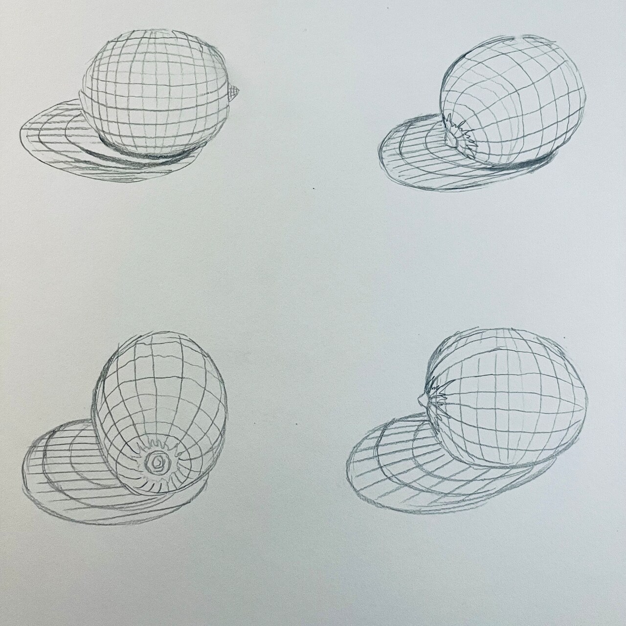 Learn to Draw 3D Forms: Understanding Contour Lines with @AdrienneHodgeArt